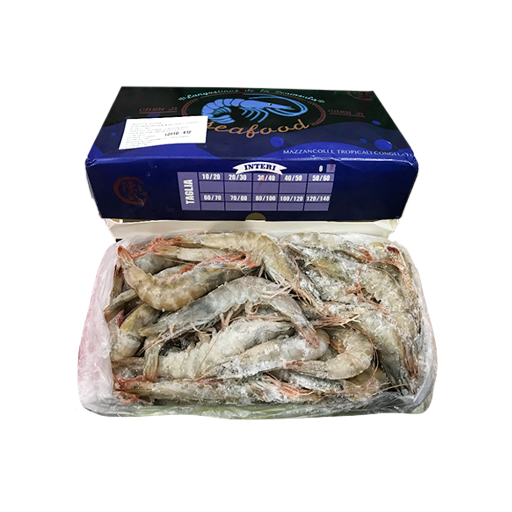MAZZANCOLLE INTERE CONG.20/30 X20KG带头虾